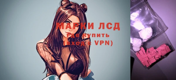 прущие грибы Сатка