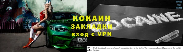 прущие грибы Сатка