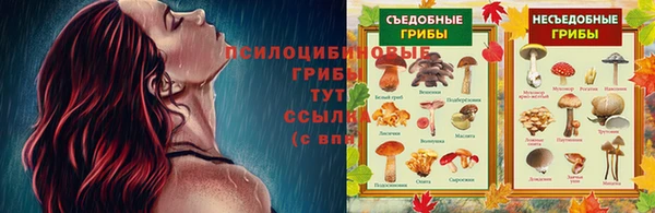 бошки Иннополис