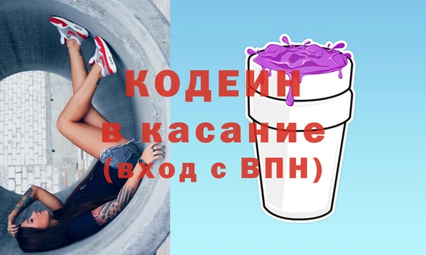 прущие грибы Сатка