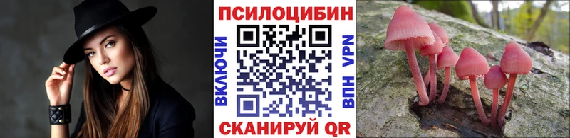 купить   Спас-Деменск  Псилоцибиновые грибы GOLDEN TEACHER 